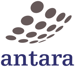 Antara IT Services